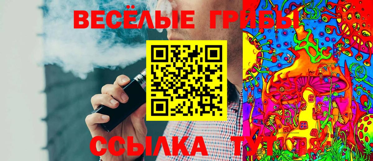 Псилоцибиновые грибы GOLDEN TEACHER Скопин