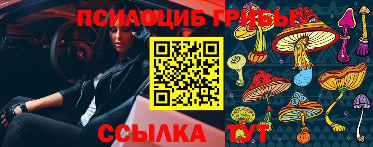 Псилоцибиновые грибы мицелий  Вход с VPN  Скопин 